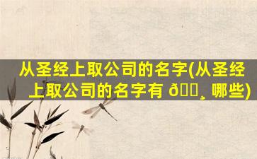 从圣经上取公司的名字(从圣经上取公司的名字有 🌸 哪些)